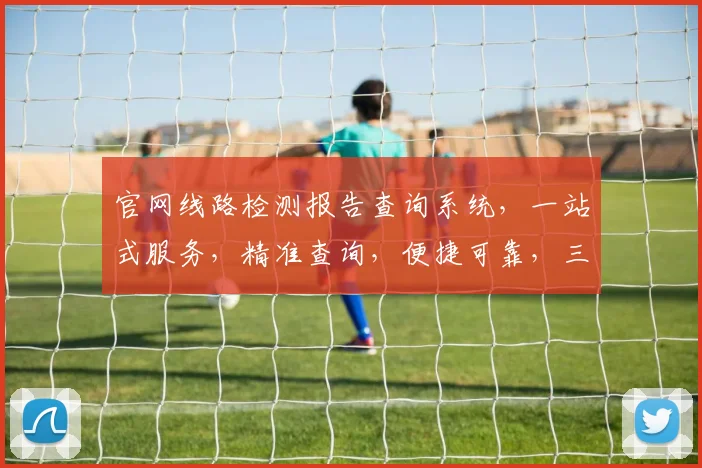 官网线路检测报告查询系统，一站式服务，精准查询，便捷可靠，三步完成。