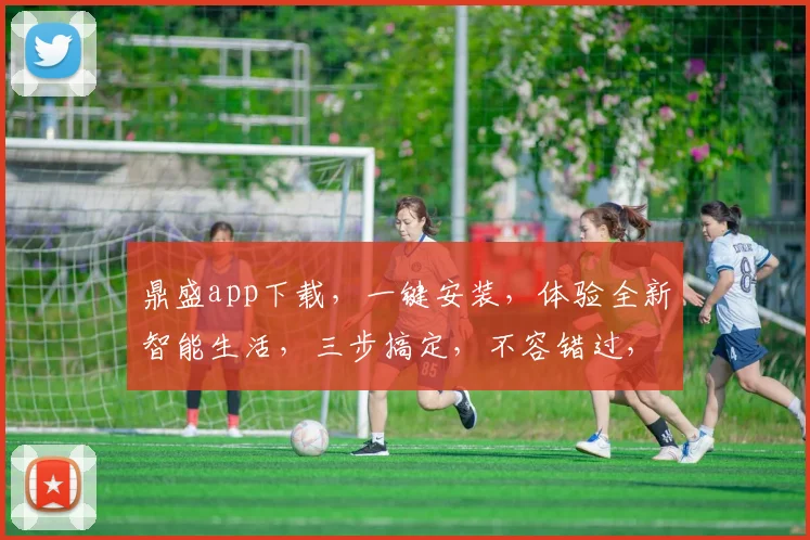 鼎盛app下载，一键安装，体验全新智能生活，三步搞定，不容错过，快来下载