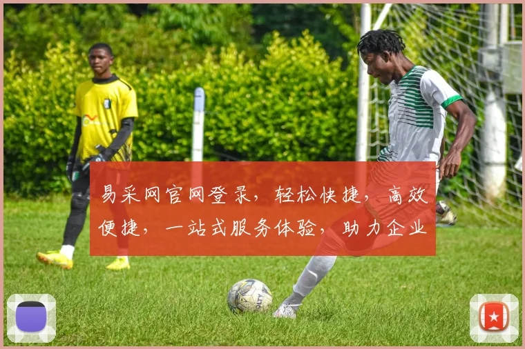 易采网官网登录，轻松快捷，高效便捷，一站式服务体验，助力企业采购无忧