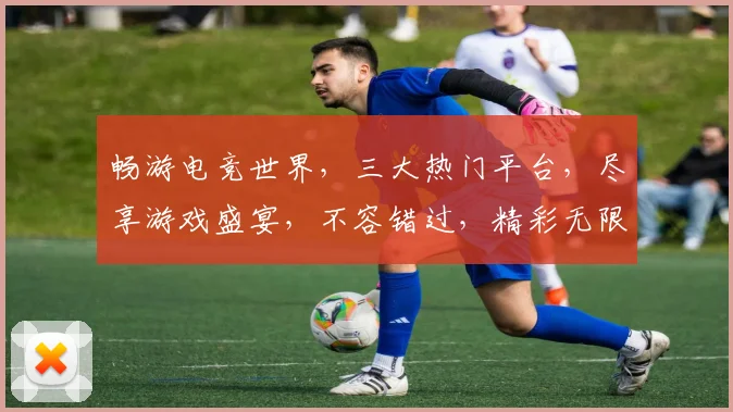 畅游电竞世界，三大热门平台，尽享游戏盛宴，不容错过，精彩无限